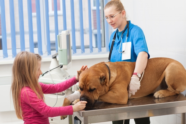 動物病院と犬
