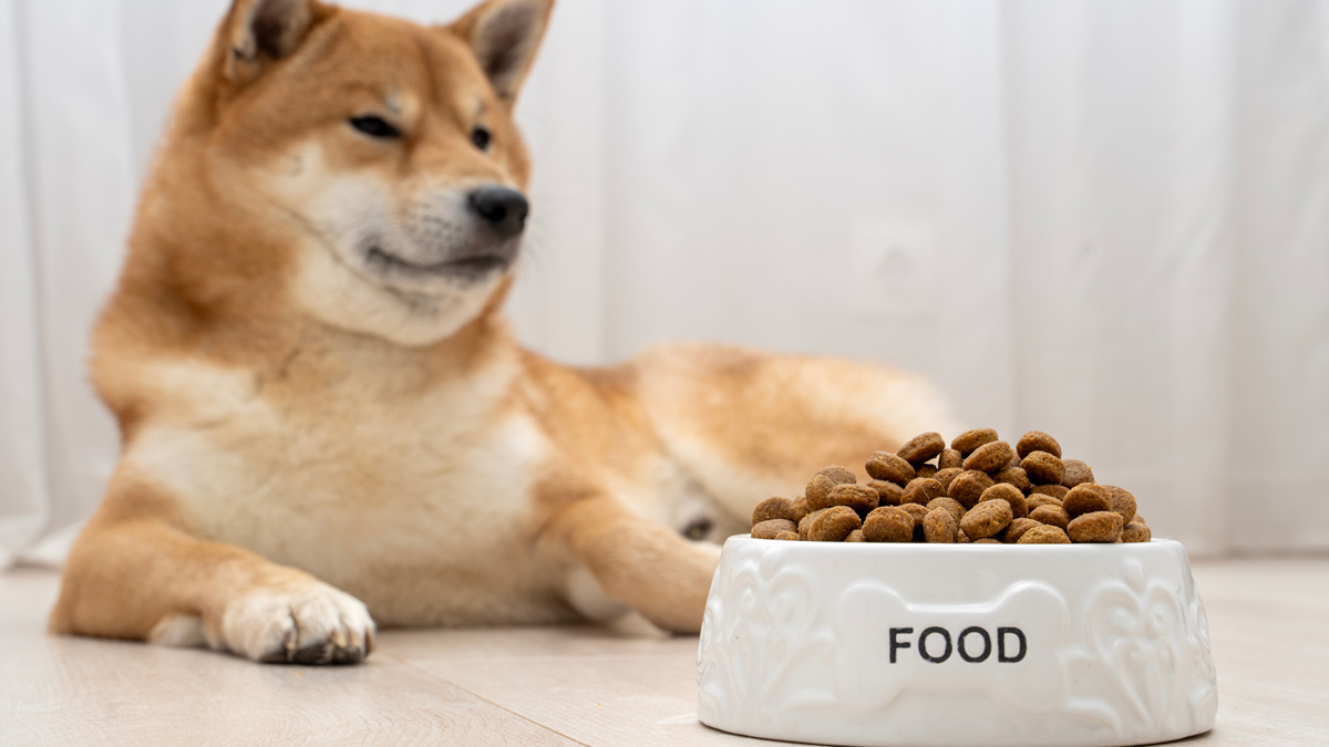 慢性腎臓病で重要とされる食事内容 