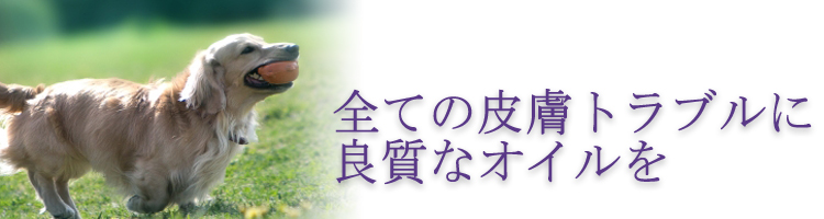 皮膚の炎症におすすめの食事